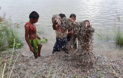 Rejected Bangladesh Bank notes found in Bogra marshland