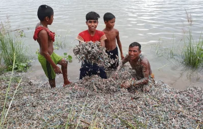 Rejected Bangladesh Bank notes found in Bogra marshland