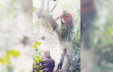 Honey collectors (moals) collecting honey from Sundarbans  Syed Zakir Hossain/Dhaka Tribune