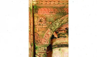 Naziat Jahan Rodela