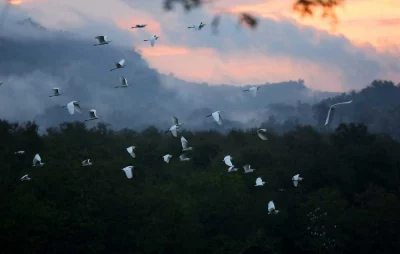 Photo: Syed Zakir Hossain/Dhaka Tribune