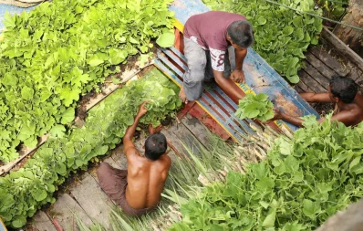 Photo: Syed Zakir Hossain/Dhaka Tribune