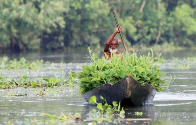Photo: Syed Zakir Hossain/Dhaka Tribune
