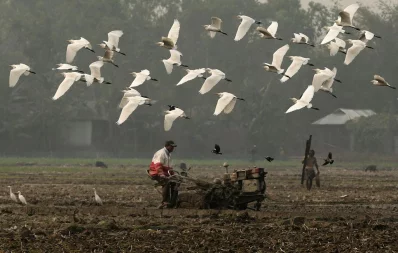 Syed Zakir Hossain/Dhaka Tribune