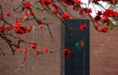 This photo of Bombax flower (Shimul) blossom was taken at Rayer Bazar in Dhaka | Syed Zakir Hossain/Dhaka Tribune