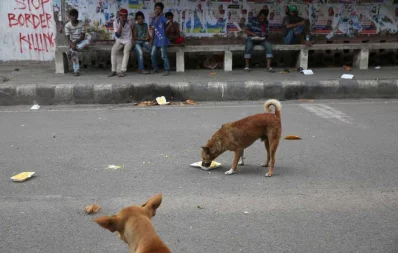 Mahmud Hossain Opu/Dhaka Tribune