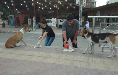 In pictures: Lending a hand to animals