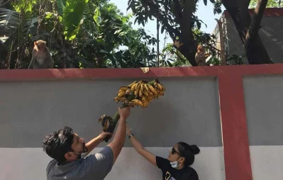 In pictures: Lending a hand to animals