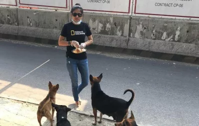 In pictures: Lending a hand to animals
