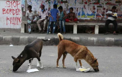 Mahmud Hossain Opu/Dhaka Tribune