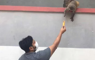 In pictures: Lending a hand to animals