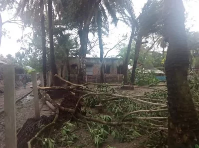 Uprooted trees block the road in a village in Pirojpur. Photo taken on Thursday, May 21, 2020 | Dhaka Tribune