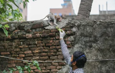 Mahmud Hossain Opu/Dhaka Tribune