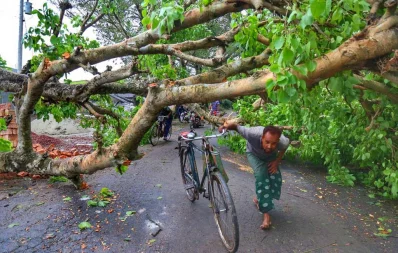 An uprooted tree blocks a road in Shyamnagar, Satkhira. Photo taken on May 21, 2020 Courtesy: Kazi Fazla Rabbyn