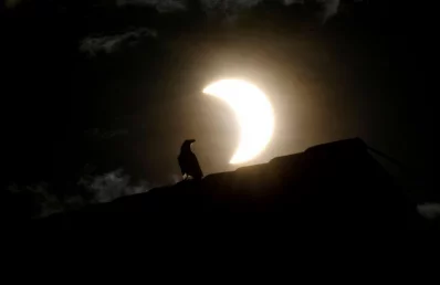 A crow stands on a roof as a partial solar eclipse is observed in Nairobi, Kenya, June 21, 2020 Reuters