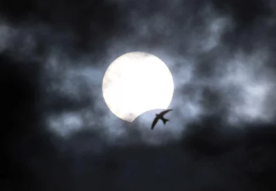 A partial solar eclipse is seen from Yevpatoria, Crimea June 21, 2020 Reuters