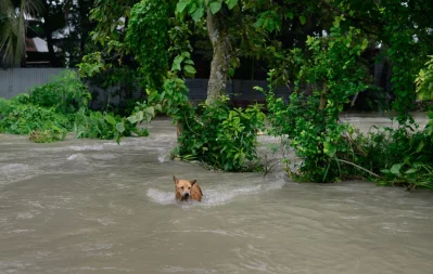 Mahmud Hossain Opu/Dhaka Tribune