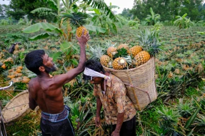 Photo: Mahmud Hossain Opu/Dhaka Tribune