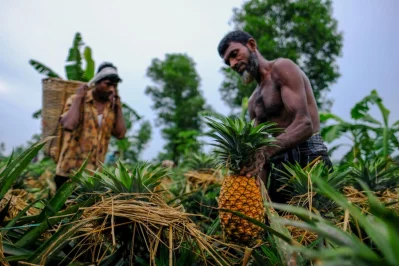Photo: Mahmud Hossain Opu/Dhaka Tribune