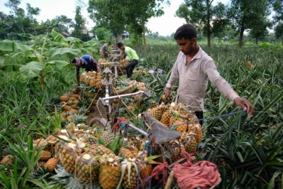 Photo: Mahmud Hossain Opu/Dhaka Tribune