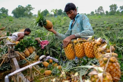 Photo: Mahmud Hossain Opu/Dhaka Tribune