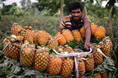 Photo: Mahmud Hossain Opu/Dhaka Tribune