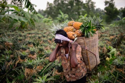 Photo: Mahmud Hossain Opu/Dhaka Tribune