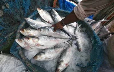 Photo: Mehedi Hasan/Dhaka Tribune