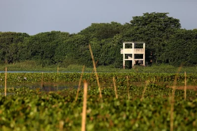 Photos: Syed Zakir Hossain