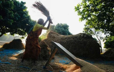 Photo: Syed Zakir Hossain/Dhaka Tribune