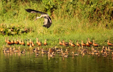 Syed Zakir Hossain/Dhaka Tribune