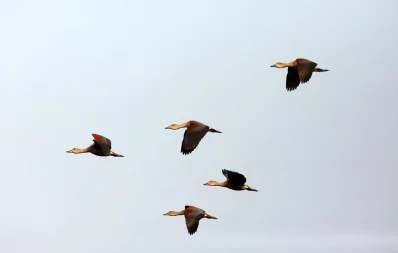 Syed Zakir Hossain/Dhaka Tribune
