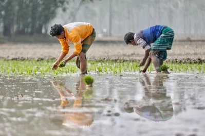Mahmud Hossain Opu/Dhaka Tribune