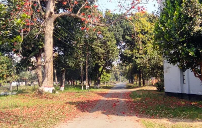 Dhaka Tribune