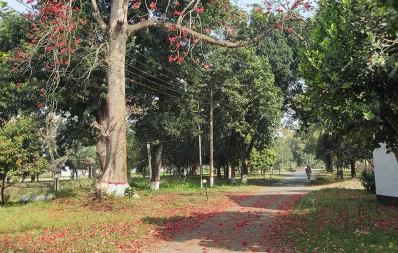 Dhaka Tribune
