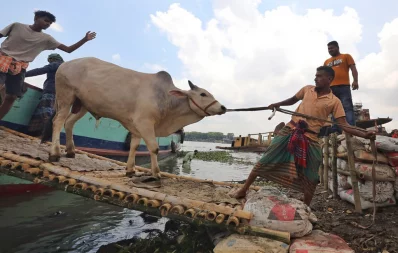 Mehedi Hasan/Dhaka Tribune