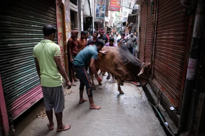Mahmud Hossain Opu/Dhaka Tribune
