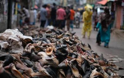 Mahmud Hossain Opu/Dhaka Tribune