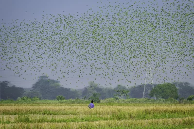 Dhaka Tribune