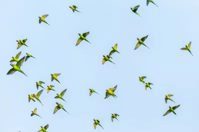 Dhaka Tribune