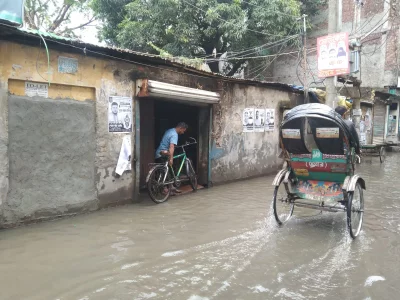 Dhaka Tribune