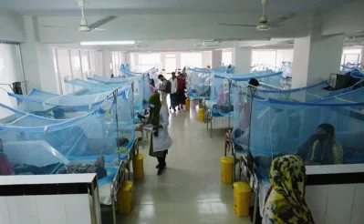 dengue/Dhaka Tribune