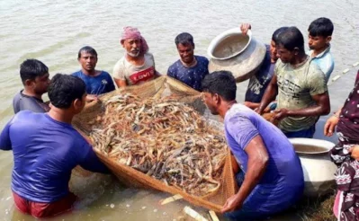 File image of a group of fishermen catching shrimps . Photo: Bangla Tribune