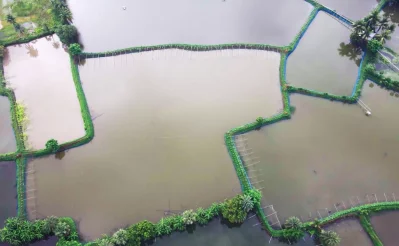 The aerial view of Shrimp enclosure in Khulna. Photo: Dhaka tribune