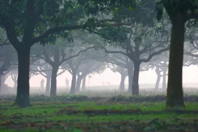File image of a cold, foggy morning. Photo: Dhaka Tribune