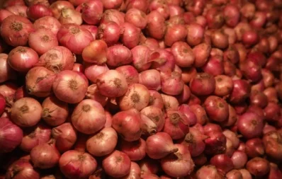 File image of onion. Photo: Dhaka Tribune