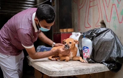The image shows a veterinary doctor treating a dog. Photo: Joyeeta Trisha and Anirban Kaiser/Grameenphone