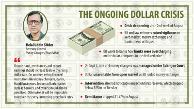 Dollar Info