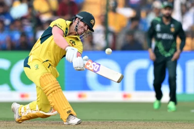File image of David Warner. Photo: Collected