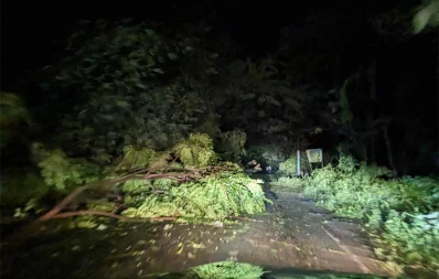 A tree fell on the road due to the impact of the cyclonic storm Hamoon in Cox’s Bazar on Tuesday, October 24, 2023. Photo: Dhaka Tribune